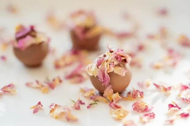 Pedalada10 Casino Application Android/iOS